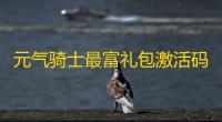 元气骑士最富礼包激活码2023汇总_元气骑士没过期的兑换码有哪些